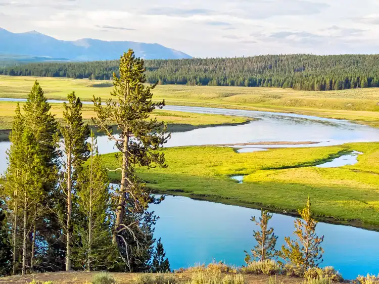 Hôtels à : Comte de Yellowstone