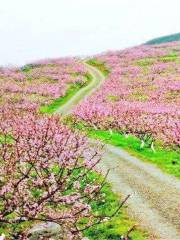 Guiyang Taohuaxi Scenic Area