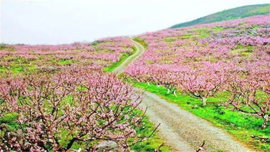 Guiyang Taohuaxi Scenic Area