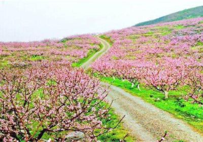 Guiyang Taohuaxi Scenic Area