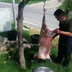 客来聚美食园 User Photo