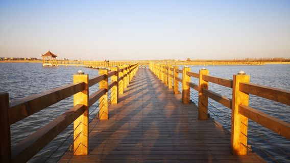 Nanhu Ecological Garden