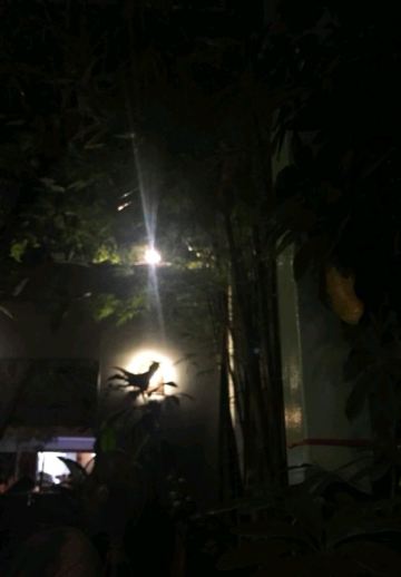 Eleven One Kitchen(Russian Market)