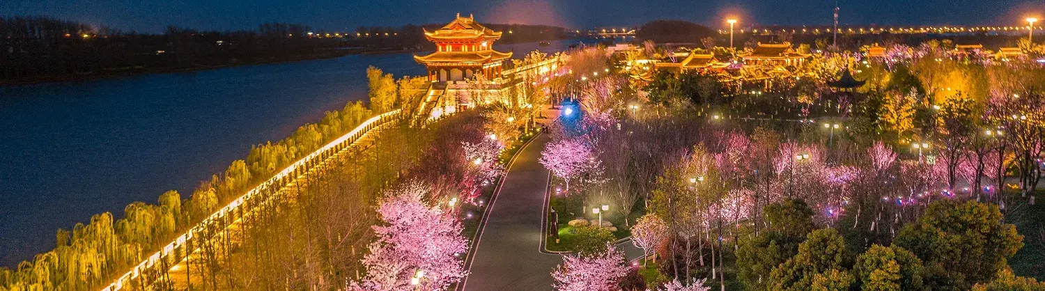 Night Attractions