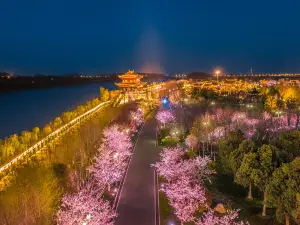 鹽城4大夜間人氣景點