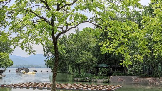 景点名：涌金池涌金池位于杭州西湖天地旁边这里景色很美，有杭州