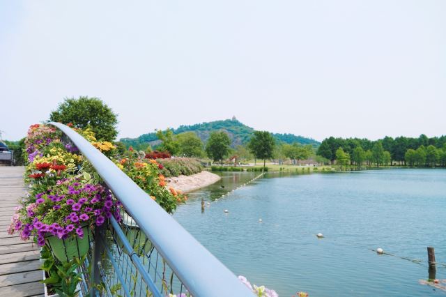 상하이 천산 식물원(상해 진산식물원)