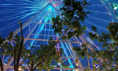 Dalian Forest Zoo Ferris Wheel