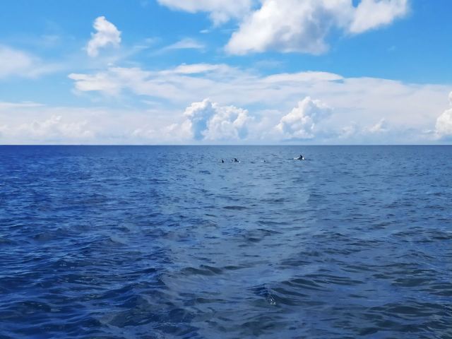 Nungwi Beach