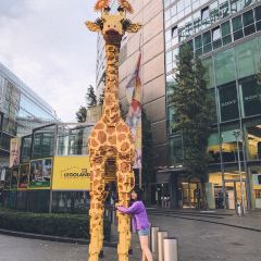 Hofbräu Wirtshaus Berlin User Photo
