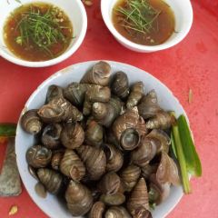 Oc Nong Ha Trang User Photo