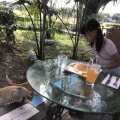 Cafe Mesa User Photo