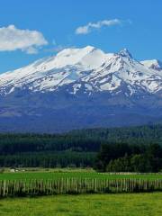 Núi Tongariro
