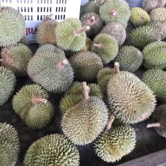 Restoran Terapung Bujang Firefly 여행 사진