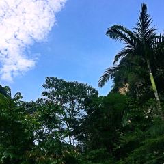 The Pomelo - The Banjaran Hotsprings Retreat User Photo