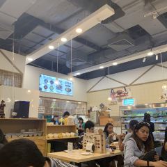 Spicy cat User Photo