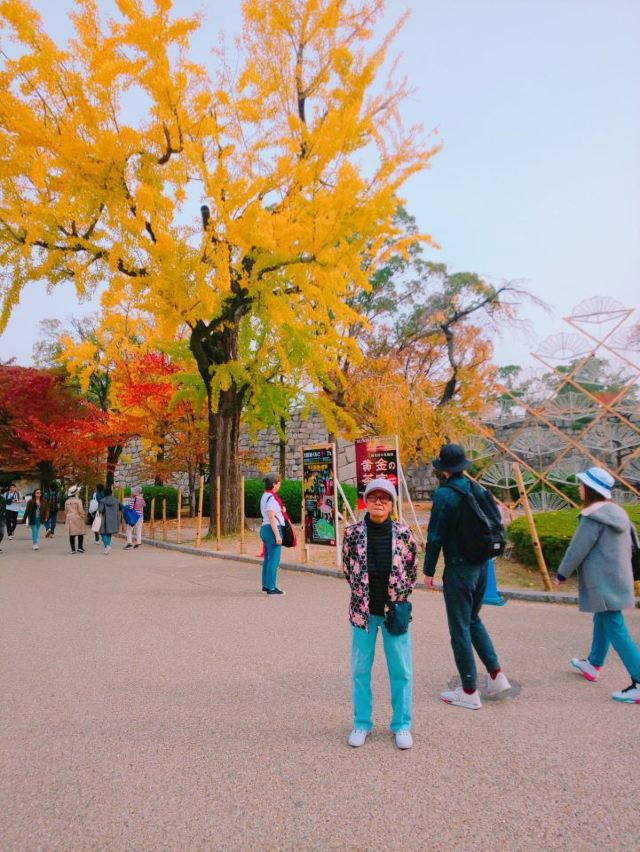 Osaka Castle