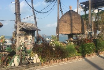 COCO TAM'S User Photo