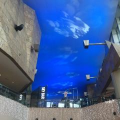 The Sky Bar 여행 사진