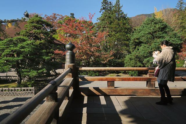 Zenko Ji Temple Attractions Nagano Travel Review Travel Guide Trip Com Zenko Ji Temple Attractions Nagano Travel Review Travel Guide Trip Com