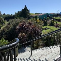Waitomo Homestead ảnh của người dùng