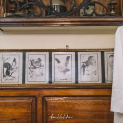 Café Riche User Photo