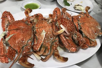 Nhà hàng Cây Bàng