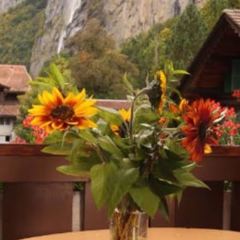 Hotel Oberland Restaurant User Photo