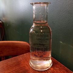 Suculent User Photo