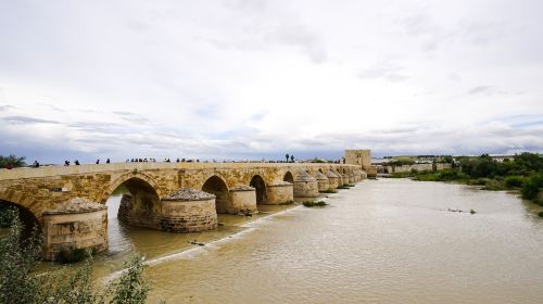 Roman Bridge of Córdoba