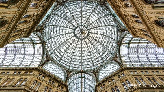 Galleria Umberto I + Music Conservatories of Naples day tour [Chinese-speaking guide|Private charter service
