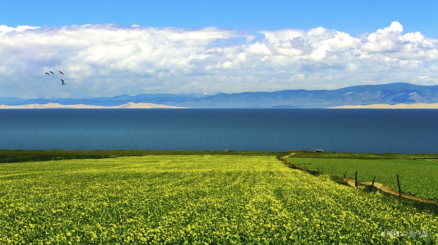 西寧市酒店至青海湖私人來回接送服務