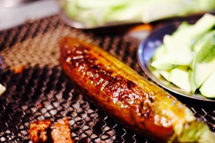 MIAN NING HUO PEN SHAO KAO