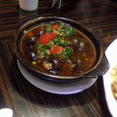 Ayubao (zhanghailu) User Photo