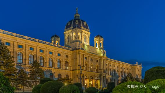 Arco del Triunfo del Palacio de Schönbrunn + Zoológico de Schönbrunn + Invernadero del Palacio de Schönbrunn de Viena + Museo de Carruajes