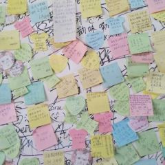 九华山友谊土菜馆小资餐厅 여행 사진