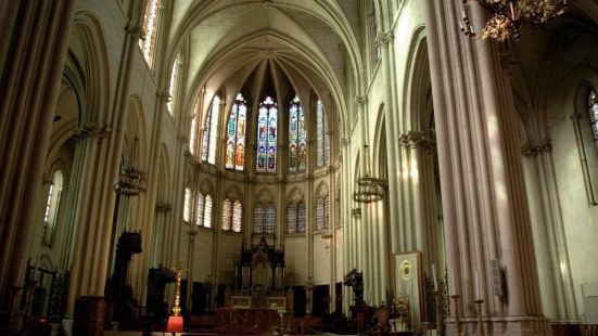 圣皮埃尔大教堂是法国代表性教堂之一，很宏伟很高大，里面我最喜