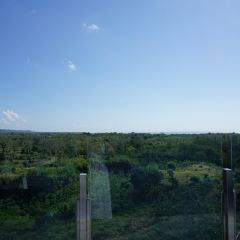 Unique Rooftop Bar & Restaurant User Photo