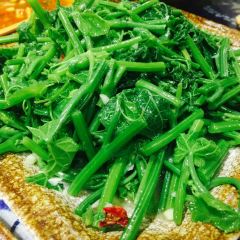 多依树菜馆 ảnh của người dùng