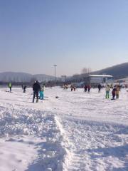 蓮花山滑雪場