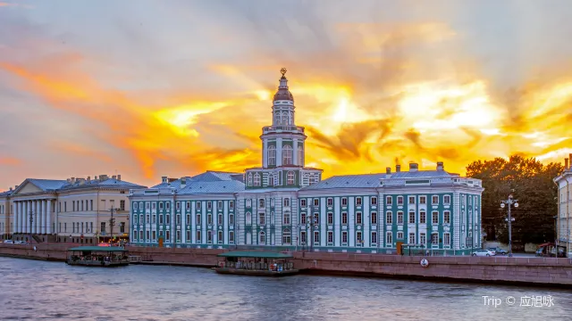 Кунсткамера