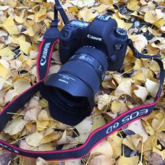 Nanjing Impressions User Photo