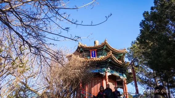 Visita de medio día al Parque Jingshan [opción de grupo de 10 personas o grupo privado / servicio de guía disponible en varios idiomas como chino, inglés y cantonés]