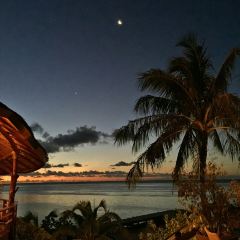 Arii Vahine  Restaurant User Photo