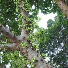 Dragon Inn Seafood Restaurant User Photo