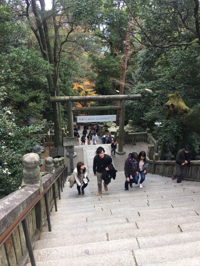 고토히라궁