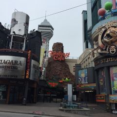 Rainforest Cafe Niagara Falls User Photo