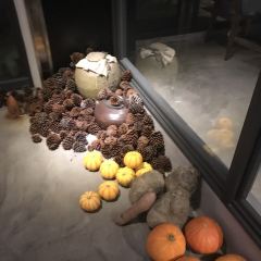 CHA ZI ZI User Photo
