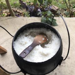 大樟树农家饭 User Photo