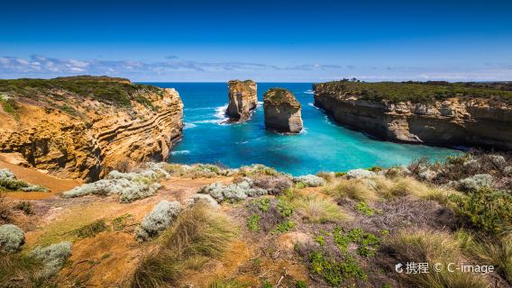 Apollo BayTours